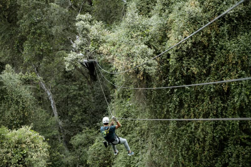 Stormsriver Adventures - Tsitsikamma Canopy Tour: 2.5h Thrilling Zipline Tour for 1 Adult!