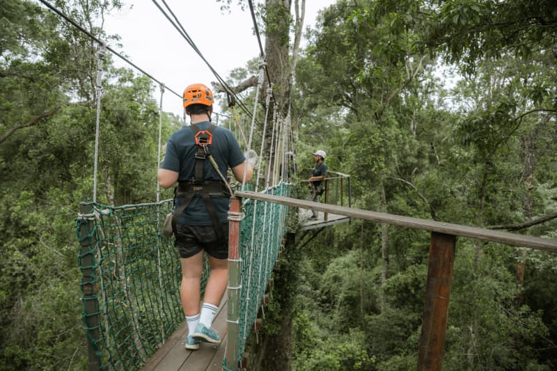 Stormsriver Adventures - Tsitsikamma Canopy Tour: 2.5h Thrilling Zipline Tour for 1 Adult!