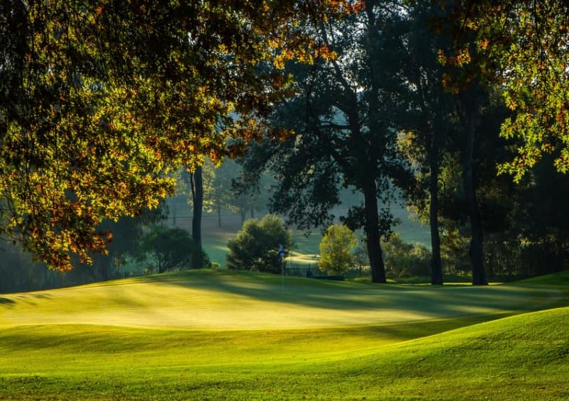 Royal Johannesburg East: 2-Ball + Cart Only R1 699!