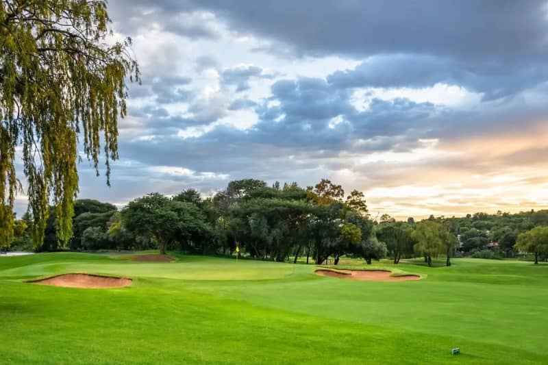Randpark Golf Club: 4-Ball + Shared Carts on Bushwillow or Firethorn Courses only R1 919.99