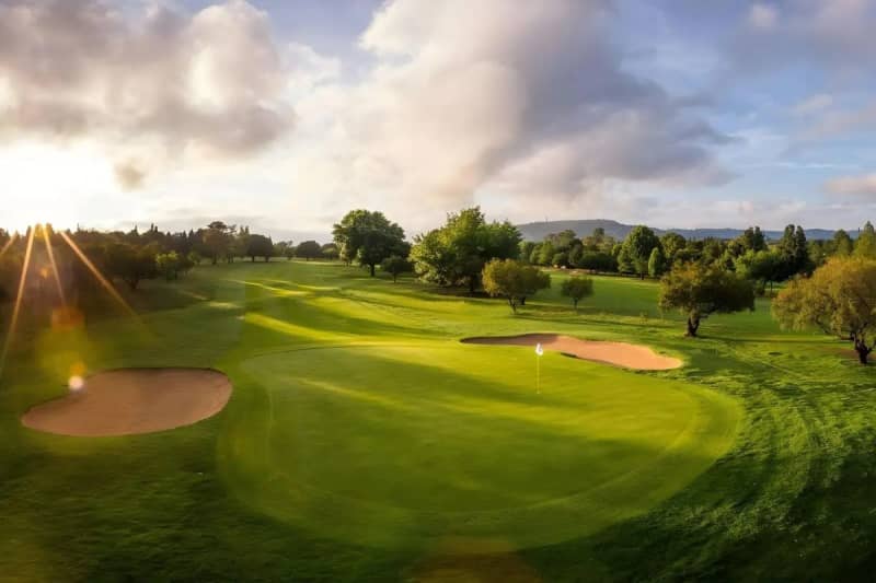 Randpark Golf Club: 4-Ball + Shared Carts on Bushwillow or Firethorn Courses only R1 919.99