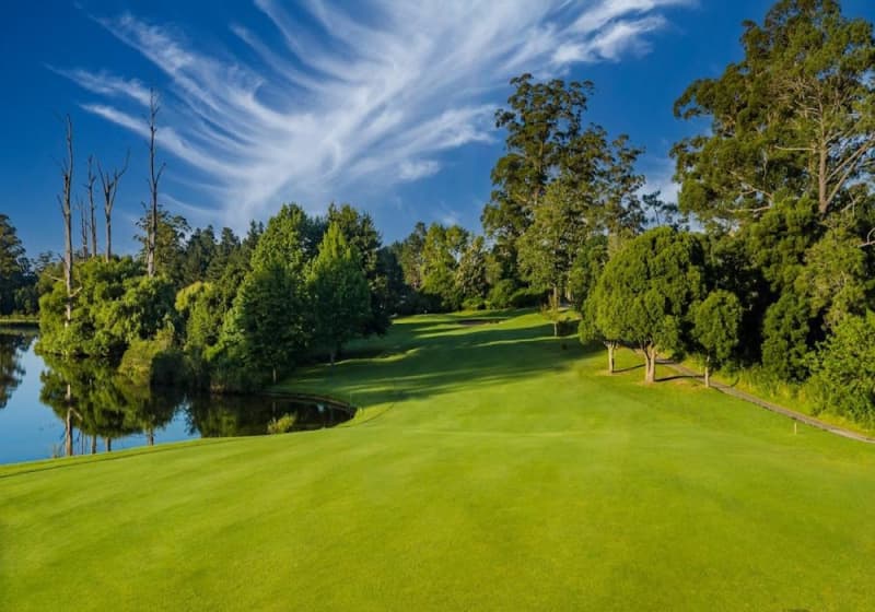 George Golf Club: Flook Garden Route Golf Tour 2026 Special - 4-Ball for only R1 999!