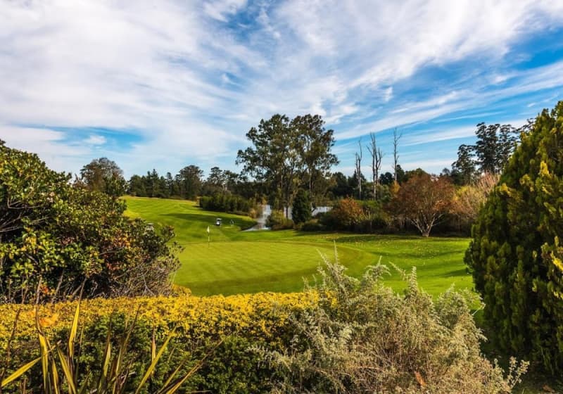 George Golf Club: Flook Garden Route Golf Tour 2026 Special - 4-Ball for only R1 999!