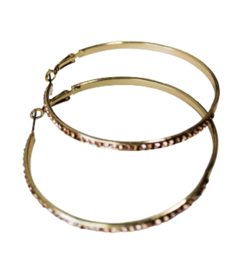 Mr Price Ladies Hoop Earings