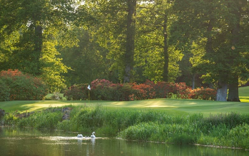 The K Club Private Cottage Golf Tour 2026: 3 night self catering stay for 8 at The K Club Palmer Lodge + Green Fees on both Palmer North & South Courses!