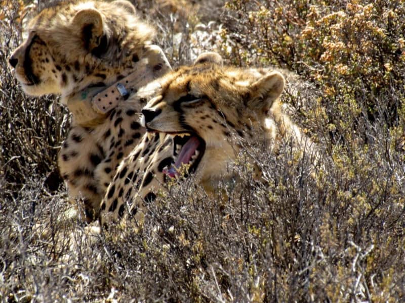 Rogge Cloof, Sutherland - 2 Nights Stay for 2 + Inclusive Breakfast & Dinner from R10 445