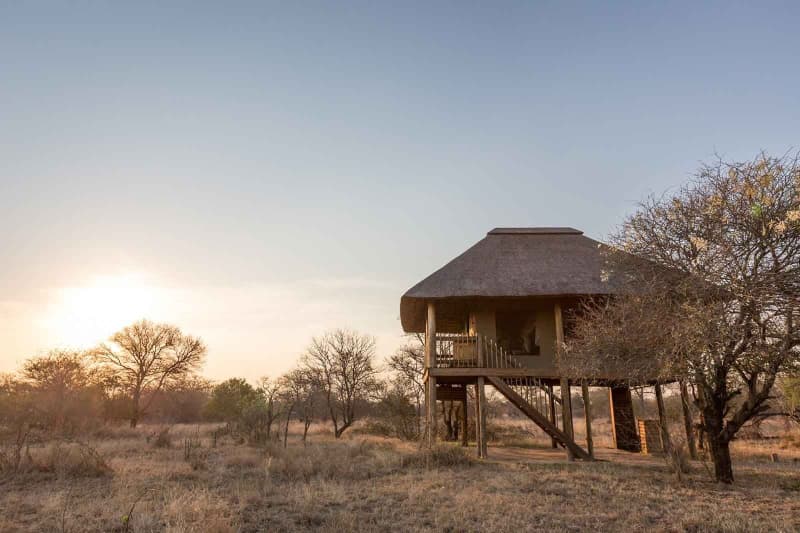 Nthambo Tree Camp, Kruger National Park - 1 Night Luxury Stay for 2 + All Meals & Game Drives + Bush Walks For R6338 pppn!