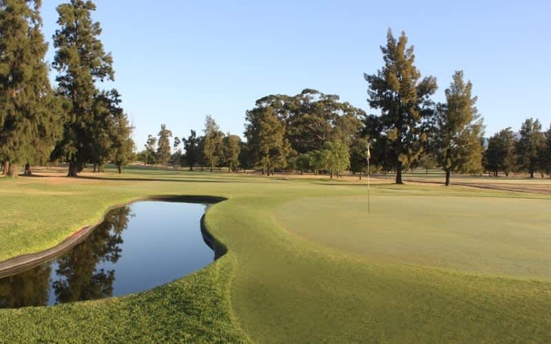 Wellington Golf Club: 4-Ball for only R849!