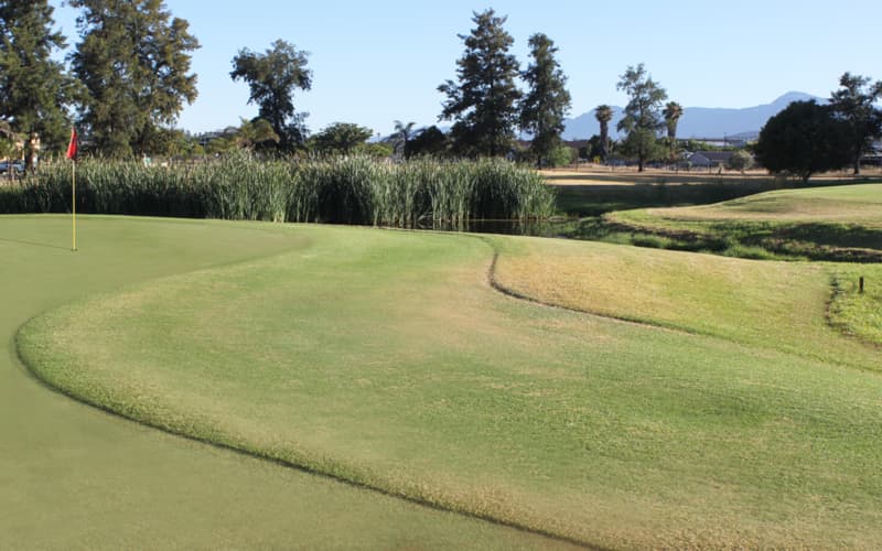 Wellington Golf Club: 2-Ball for only R479.99!