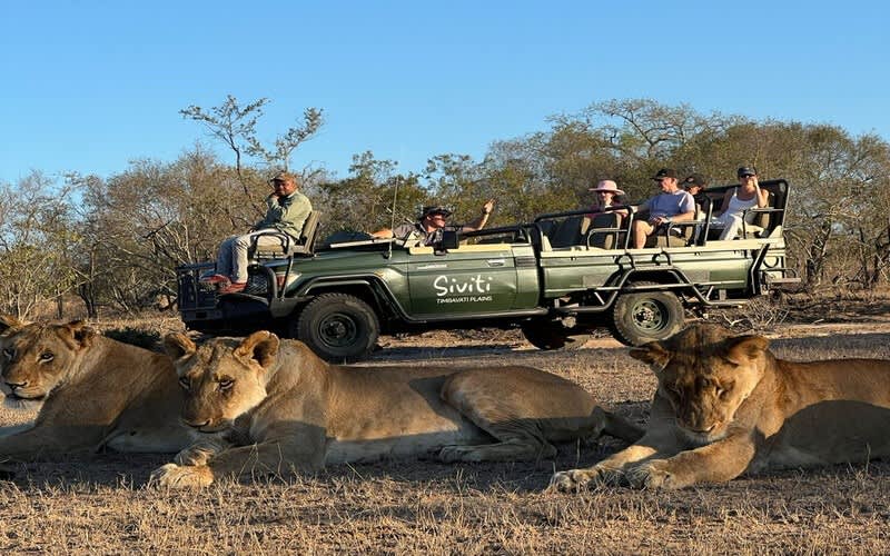 Save Big at Siviti Timbavati Plains Greater Kruger National Park from only R11 829 Per Person Per Night Sharing: 7 Night Luxury Safari Stay in a Suite or Villa + All Meals + 2 Game Drives per Day + Selected Drinks