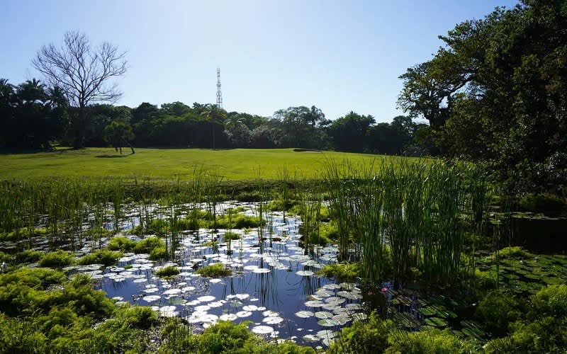 Scottburgh Golf Club: 2-Ball Only R449