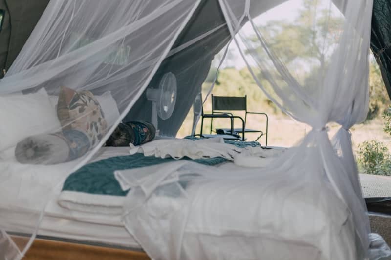 Kruger Untamed Tshokwane River Camp: Luxury Tent Stay + All Meals + Beverages + 2 Daily Game Drives or Game Walks with a rifled ranger.