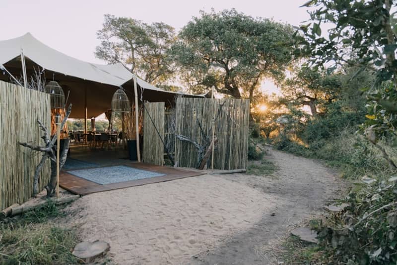Kruger Untamed Tshokwane River Camp: Luxury Tent Stay + All Meals + Beverages + 2 Daily Game Drives or Game Walks with a rifled ranger.