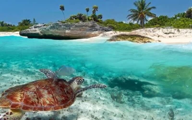 All-Inclusive from only R52 233 Per Person Sharing Club Med Seychelles: 7 Nights in Superior Room + Meals + Drinks + Snorkelling + Archery + Padel and More