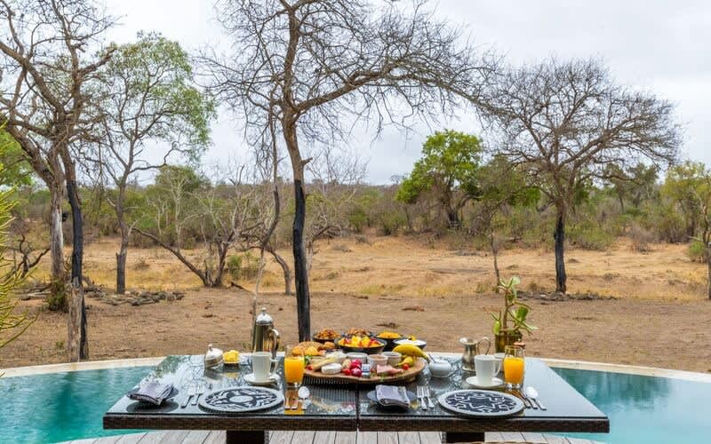 Siviti Timbavati Plains Greater Kruger National Park: 1 Night Luxury Safari Stay in a Suite or Villa + All Meals + 2 Game Drives per Day + Selected Drinks from only R16 560 Per Person Sharing