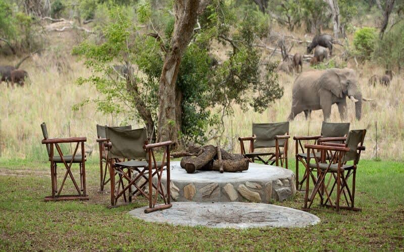 Save Big at Siviti Timbavati Plains Greater Kruger National Park from only R11 829 Per Person Per Night Sharing: 7 Night Luxury Safari Stay in a Suite or Villa + All Meals + 2 Game Drives per Day + Selected Drinks