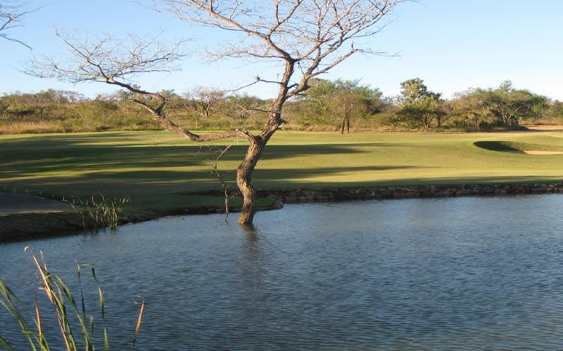 Nkonyeni Golf Club, Eswatini (Swaziland): 4-Ball + Carts for only R1 699!