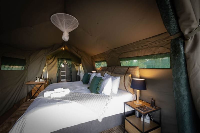 Kruger Untamed - Satara Plains Camp: Luxury Tent Stay for 2 People + All Meals + Local Beverages + 1 Daily Game Drive!