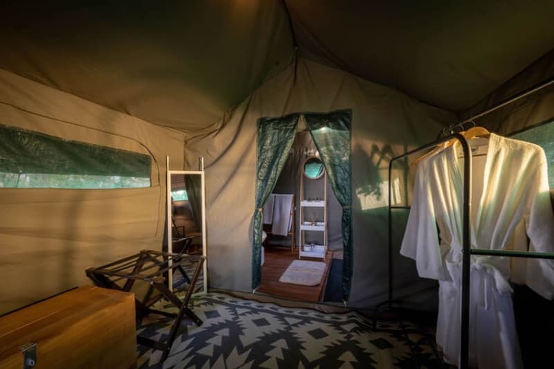 Kruger Untamed - Satara Plains Camp: Luxury Tent Stay for 2 People + All Meals + Local Beverages + 1 Daily Game Drive!
