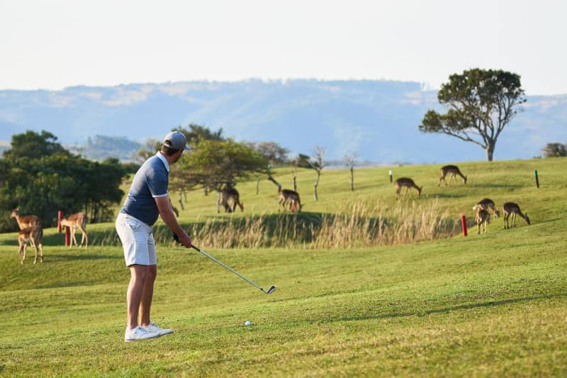 Scenic & Sublime Eastern Cape Golf Tour for 4 - Play 3 Courses!
