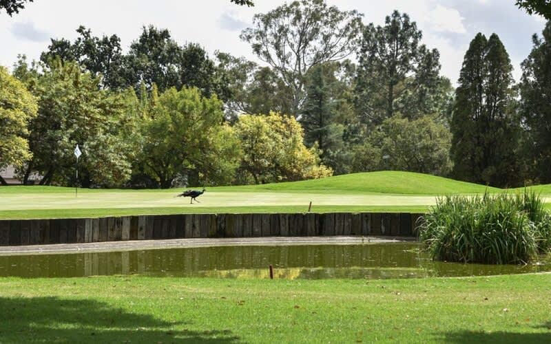 Benoni Country Club: 2-Ball + Shared Cart - only R1 099!