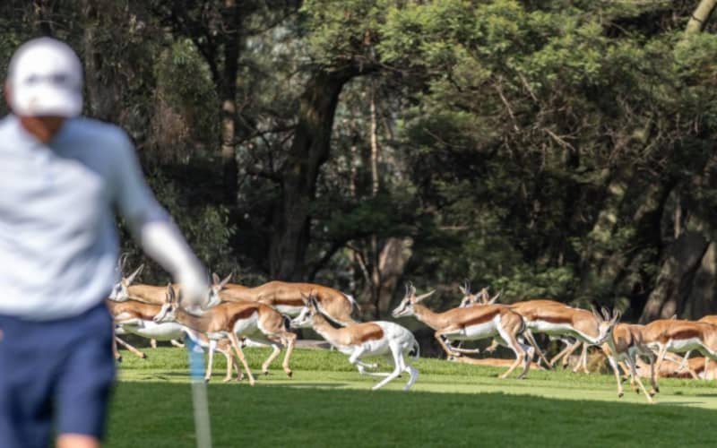 Benoni Country Club: 2-Ball + Shared Cart - only R1 099!