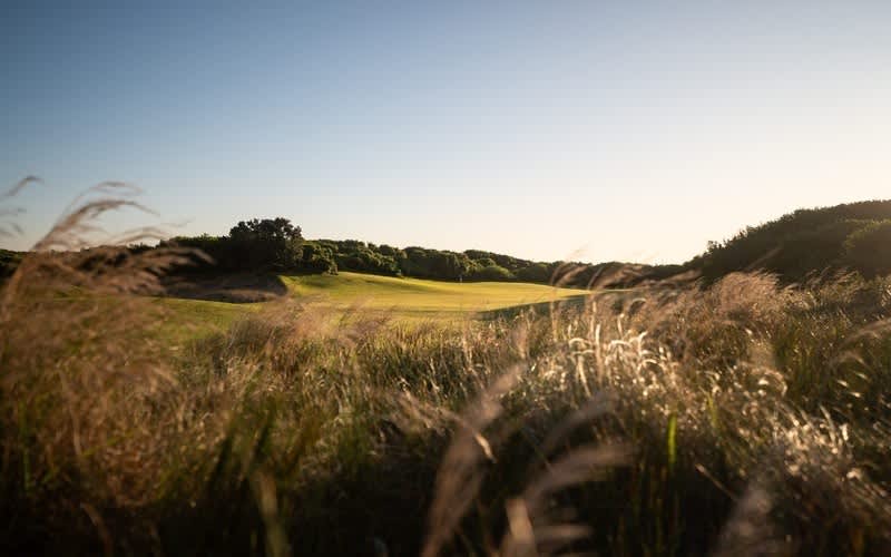Humewood Golf Club: a Genuine Seaside Links in the heart of the Friendly City of PE - 4-Ball + Carts for only R3 199!