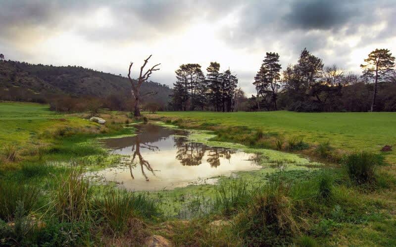 The Belmont Golf Club in Grahamstown: 4-Ball Special + Shared Cart - only R1 949!
