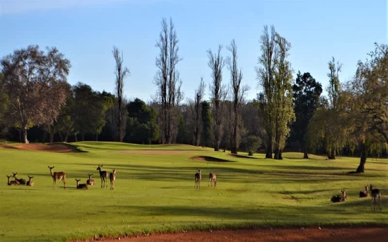 Goldfields Golf Club: 2-Ball - only R499,99