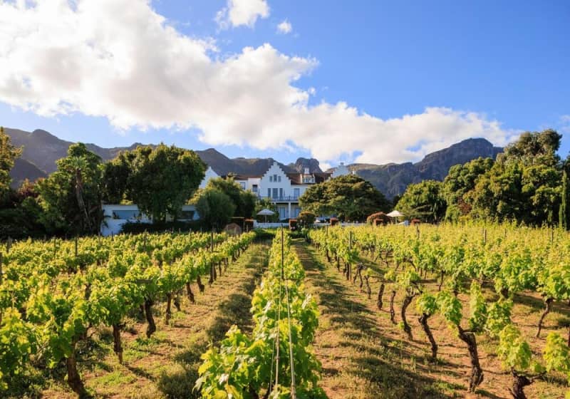 5* Serene Cape Town at Cellars-Hohenort: Stay 3 Nights & Get a 4th Free