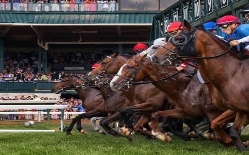 USA 8 Man Golf Tour - Kentucky Bluegrass Golf Trail - Bourbon & Birdies: 7 Nights + Golf on 4 Championship Courses + Private Transfers + 4 Bourbon Distillery Experiences and a Thorougbred Racing Experience