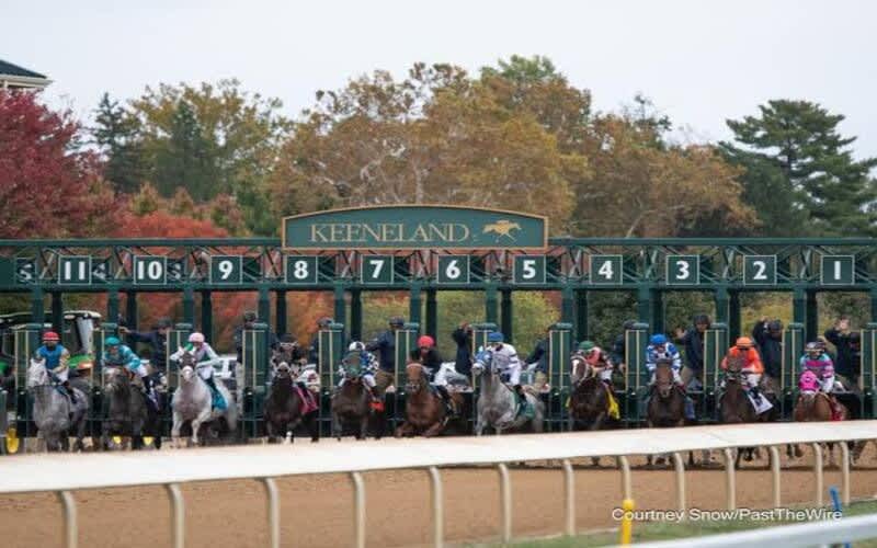 USA 8 Man Golf Tour - Kentucky Bluegrass Golf Trail - Bourbon & Birdies: 7 Nights + Golf on 4 Championship Courses + Private Transfers + 4 Bourbon Distillery Experiences and a Thorougbred Racing Experience