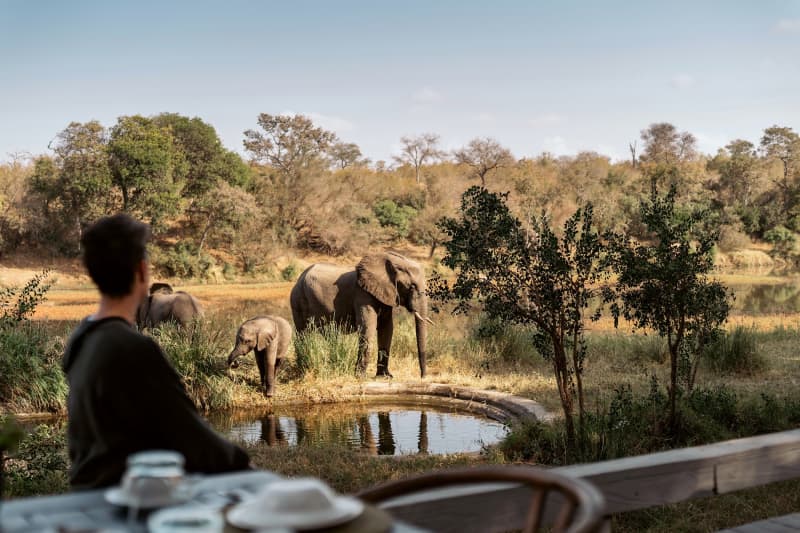 Simbavati Cederberg Ridge: Breakfast + Dinner Daily + Access to Mountain Bikes from Only R2 622 per Person Sharing