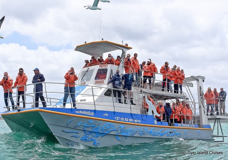 Once in a Lifetime Experience Full Day Tour in Hermanus: Whale Watching Cruise from only R3 767 per Person Sharing!
