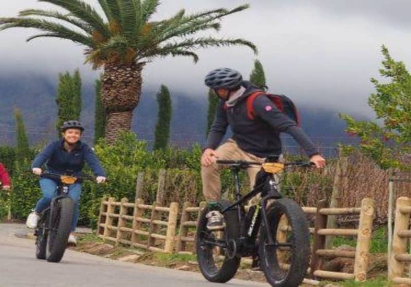 A Must Try Experience at Franschhoek: E-Bike & Wine Tour from only R3 844 per Person Sharing