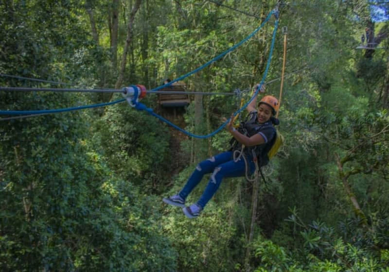 Experience Cape Canopy Tour in Elgin Valley: Wine Tasting + Lunch from only R3 644 per Person Sharing!