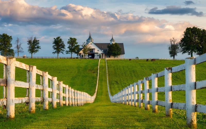 USA 8 Man Golf Tour - Kentucky Bluegrass Golf Trail - Bourbon & Birdies: 7 Nights + Golf on 4 Championship Courses + Private Transfers + 4 Bourbon Distillery Experiences and a Thorougbred Racing Experience