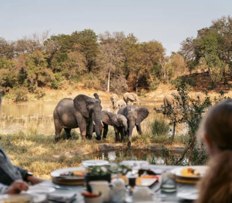 Simbavati Fynbos on Sea: Breakfast + Self-Guided Walks from Only R1 133 per Person Sharing