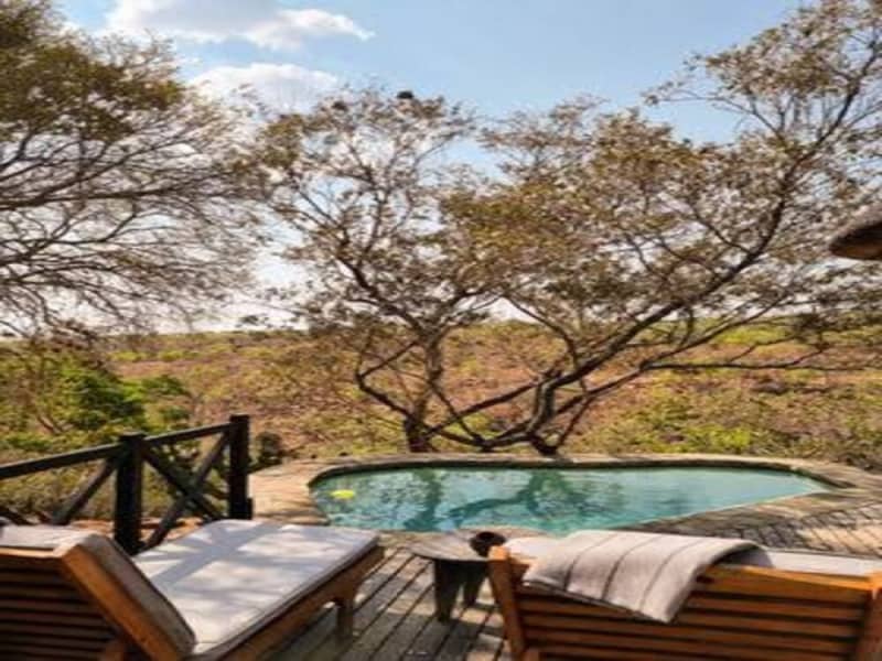Laluka Safari Lodge — Intimate Family-Run Safari in Welgevonden Game Reserve, South Africa