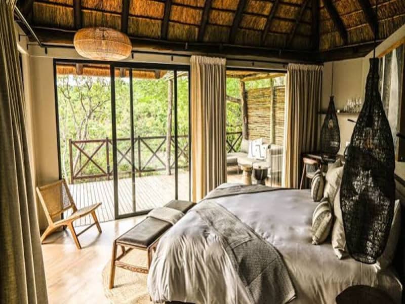Laluka Safari Lodge — Intimate Family-Run Safari in Welgevonden Game Reserve, South Africa