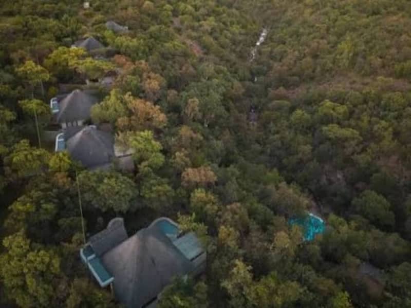 Laluka Safari Lodge — Intimate Family-Run Safari in Welgevonden Game Reserve, South Africa