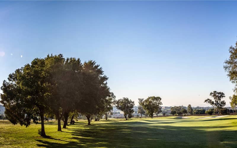 SOWETO COUNTRY CLUB: Exclusive 2 Ball Special for only R359.99!