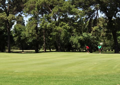 ERPM GOLF CLUB: 4 Ball deal for only R799.99