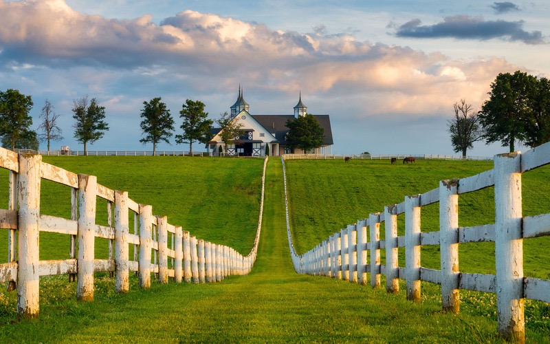 USA 8 Man Golf Tour - Kentucky Bluegrass Golf Trail - Bourbon & Birdies: 7 Nights + Golf on 4 Championship Courses + Private Transfers + 4 Bourbon Distillery Experiences and a Thorougbred Racing Experience 