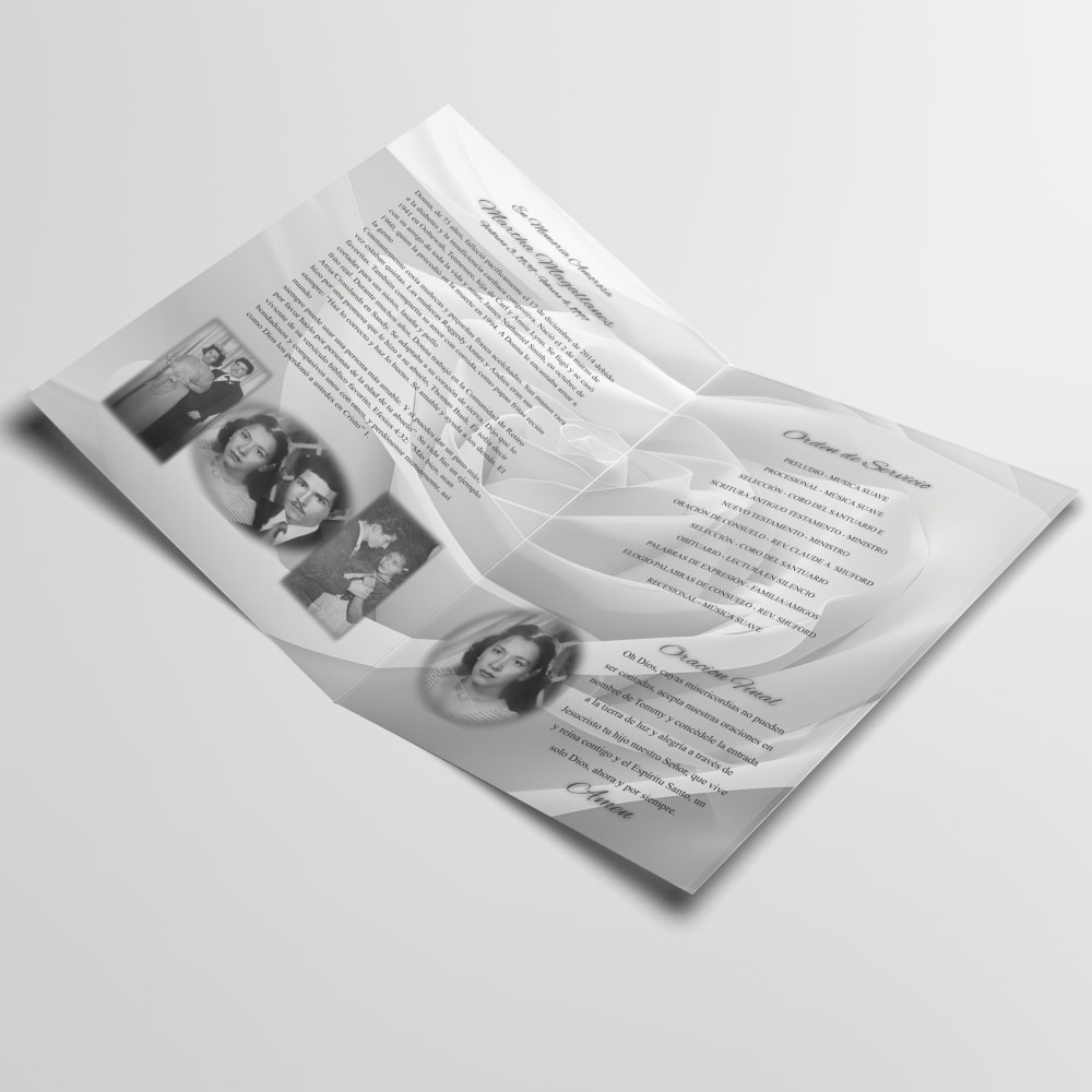 Mag Program - Image 2