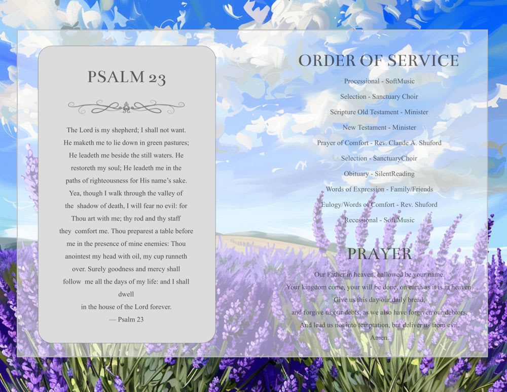 Dark Program - Image 5