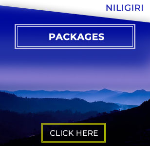 Nilgiri Tour Packages