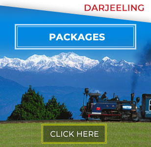 Darjeeling Calling