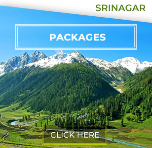 Srinagar Tour Packages