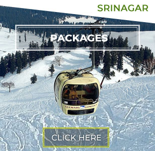Srinagar Tour Packages